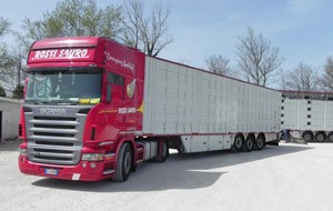 Rossi Sauro - Trucking
